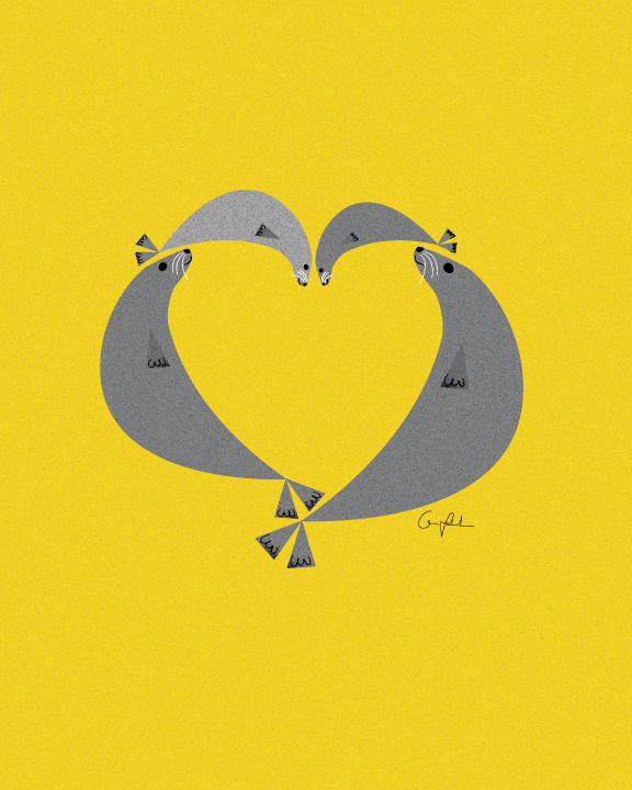 Murphy-the-seal-childrens-book-illustration-Linda-Fahrlin-beach-seal-family