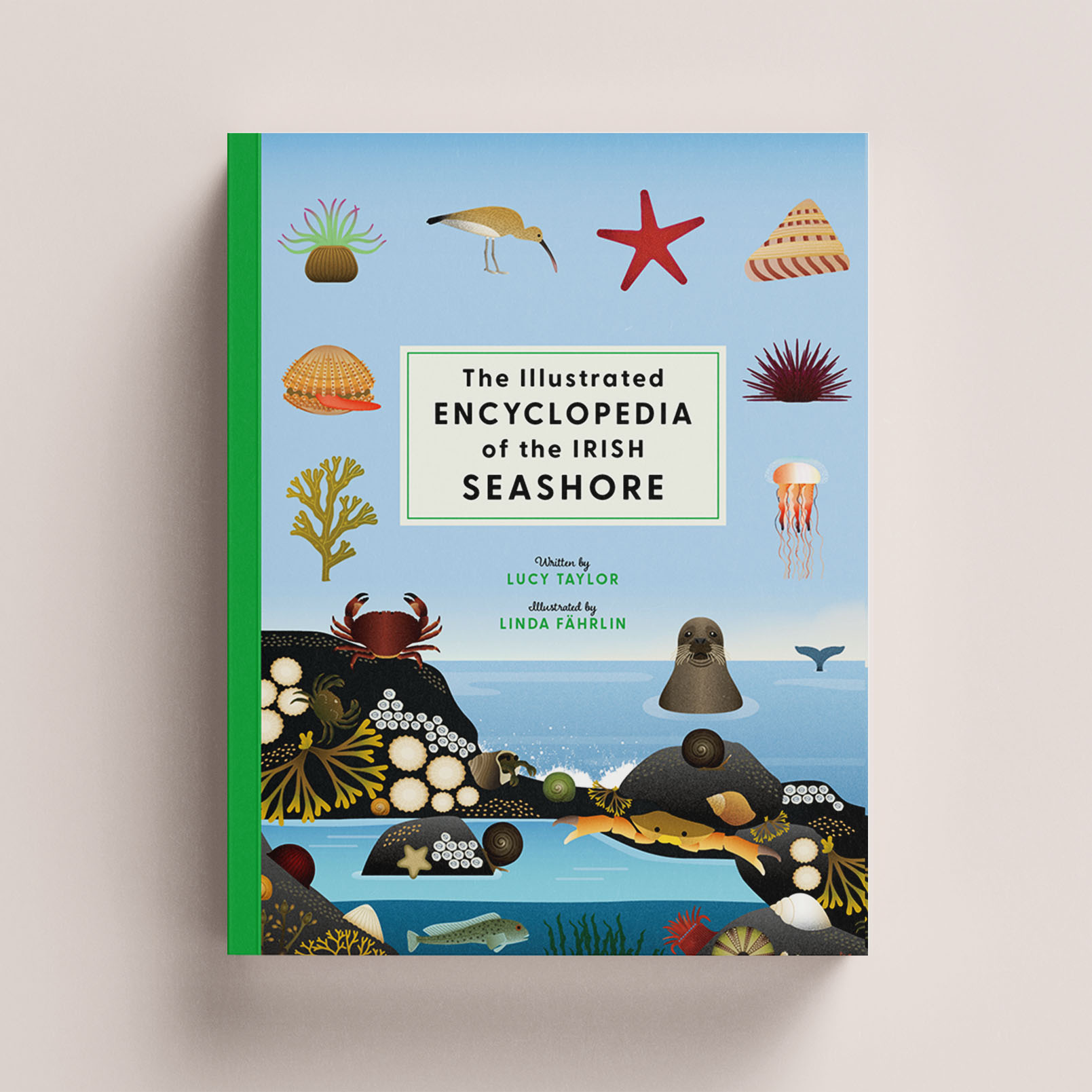 This is an illustration of the book cover for The Illustrated Encyclopedia of the Irish Seashore. It has seashells, starfish and a rockpool by the ocean on the cover.